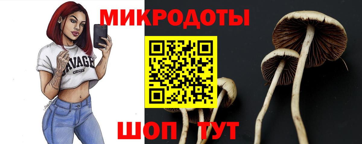 Галлюциногенные грибы мицелий Минеральные Воды